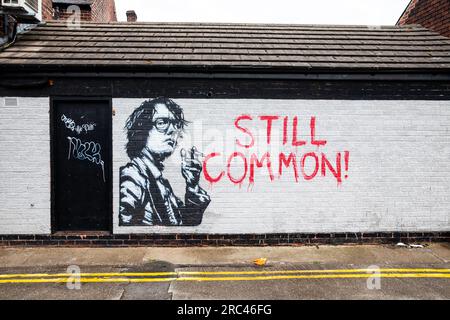 Wandbild von Jarvis Cocker, dem Leadsänger von Pulp, Ecclesall Road, Sheffield. Stockfoto