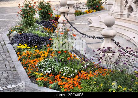 Stadtblütenbeet in Linz, Osterreich. Blütenfeld für gemischte Arten mit Ringelblume, Purpletop Eisenkraut (Verbena bonariensis), Impatiens Walleriana und Mexikanern Stockfoto