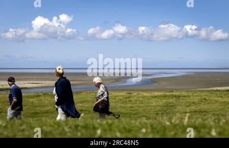 SINT JACOBIPAROCHIE - Ein Salzmarschgebiet für Vögel in der Gegend von Wadden. Wad Birds können hier essen, sich vermehren und ausruhen. ANP KOEN VAN WEEL niederlande raus - belgien raus Stockfoto