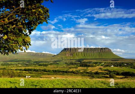 Benbulben Mountain, County Sligo, Irland Stockfoto