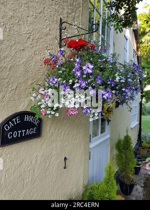 Ein Korb in voller Blüte vor einer Hütte in Finchingfield, Essex, Großbritannien. Stockfoto