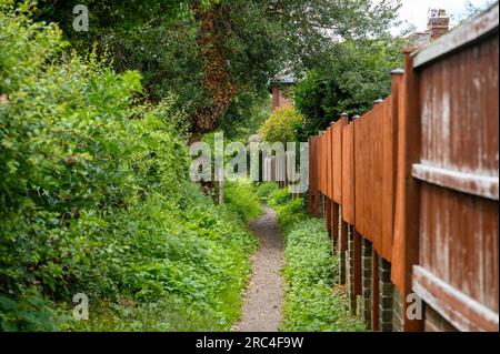 Teilweise überwachsener Fußweg neben Häusern mit einem Holzzaun auf einer Seite. Stockfoto