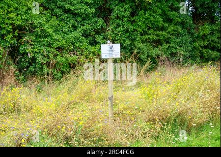 Kleiner unordentlicher Bereich auf einem Spielfeld für die Natur mit einem Schild, das den Leuten sagt, warum er nicht gemäht wurde. Stockfoto