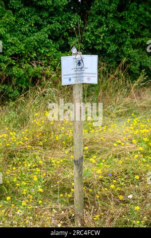 Kleiner unordentlicher Bereich auf einem Spielfeld für die Natur mit einem Schild, das den Leuten sagt, warum er nicht gemäht wurde. Stockfoto