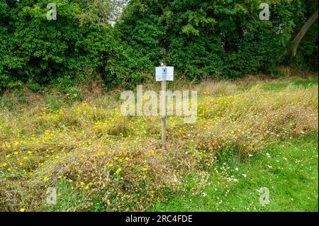 Kleiner unordentlicher Bereich auf einem Spielfeld für die Natur mit einem Schild, das den Leuten sagt, warum er nicht gemäht wurde. Stockfoto