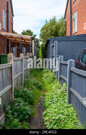 Schmaler und überwachsener öffentlicher Fußweg zwischen zwei Häusern mit Holzzäunen auf beiden Seiten. Stockfoto