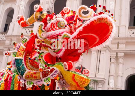 Drachentanz zum chinesischen Neujahr in Macau, Macau, Sonderverwaltungsregion Macau der Volksrepublik China Stockfoto