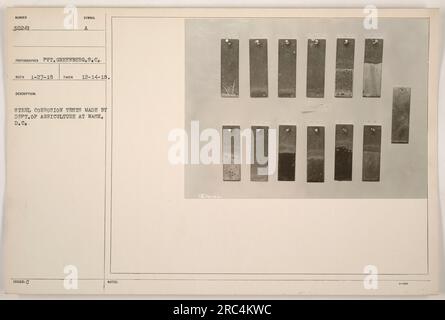 „Foto von Stahlkorrosionstests, durchgeführt vom Landwirtschaftsministerium in Washington, D.C. Das Bild zeigt Pvt. Greenberg, der die Tests am 14. Dezember 1918 durchführt. Dieses Foto wurde am 27. Januar 1918 mit der Referenznummer 111-SC-30241 von SUMBER 30241 empfangen." Stockfoto