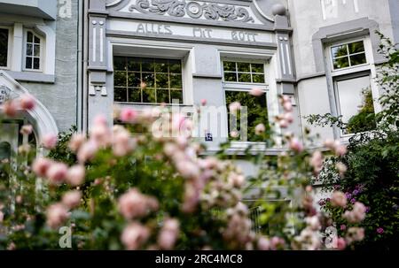 Kiel, Deutschland. 12. Juli 2023. Rosen wachsen vor der Haustür des Hauses, in dem Schleswig-Holsteins Ex-Premierministerin Heide Simonis lebte. Simonis, Deutschlands erste Premierministerin, starb am Mittwoch im Alter von 80 Jahren. Kredit: Axel Heimken/dpa/Alamy Live News Stockfoto