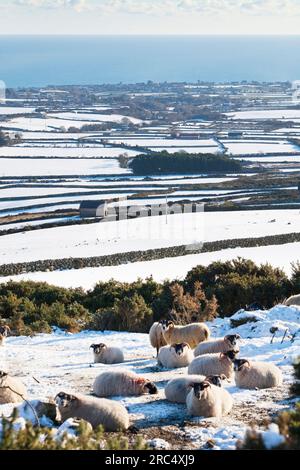 Mournes in the Snow, Co. Down. Stockfoto