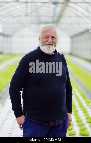 Lächelnder männlicher Senior mit Bart und grauen Haaren, der in die Kamera schaut, während er mit den Händen in Hosentaschen im Gewächshaus mit biologischem hydroponischem Bauernhof steht Stockfoto