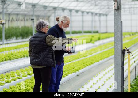 Seitenansicht eines alten Bauernpaares, das in einem intelligenten Gewächshaus mit biologischem hydroponischem Bauernhof wegschaut und das Wachstum der Pflanzen auf dem Tisch überwacht Stockfoto