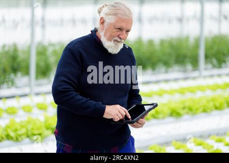 Älterer männlicher Landwirt, der wegschaut, während er das Tablet hält und berührt, während er in einem intelligenten Gewächshaus steht, in dem ein biologischer hydroponischer Betrieb betrieben wird, und das Wachstum überwacht Stockfoto