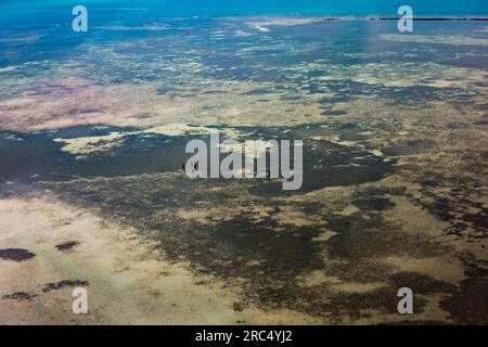 Luftaufnahme von unbekannten Reisenden, die am Sandstrand in der Nähe von ausgetrockneten Sümpfen mit grünem und trockenem Gras auf Dünen stehen, weit weg vom Wellensee an sonnigen Tagen Stockfoto