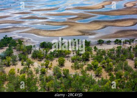 Blick aus der Vogelperspektive auf grüne Mangrovenbäume und Sträucher, die am Strand in der Nähe von Flachbetten mit blauem Meerwasser entlang der Sanddünen Madagaskars wachsen, während der Sommertage Stockfoto