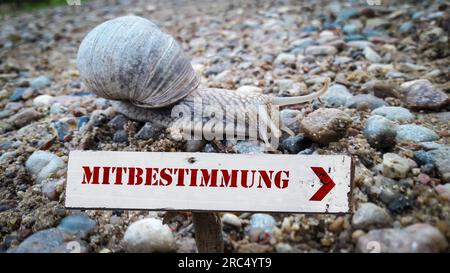 Ein Bild mit Wegweisern in Richtung Mitbestimmung in deutscher Sprache Stockfoto