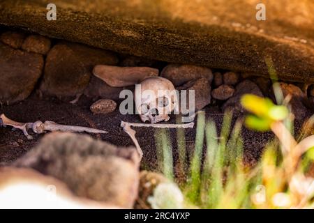 Trockene menschliche Schädel und Knochen bleiben in Höhlenschatten auf felsigem Boden mit Gras an sonnigen Tagen in Madagaskar Afrika Stockfoto