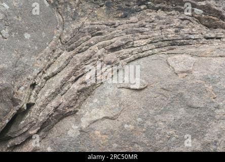 Nahaufnahme der Felsschichten in der Yachats Basalt Formation an der Küste Oregons Stockfoto