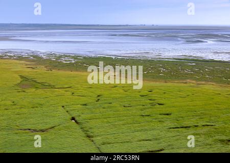 Blick aus der Vogelperspektive auf Salzmarsch/Salzwasser und Schlammgebiete im Sommer, Wadden Sea National Park, Nordfriesland, Schleswig-Holstein, Deutschland Stockfoto