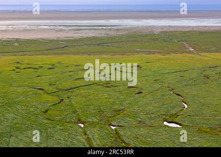 Blick aus der Vogelperspektive auf Salzmarsch/Salzwasser und Schlammgebiete im Sommer, Wadden Sea National Park, Nordfriesland, Schleswig-Holstein, Deutschland Stockfoto