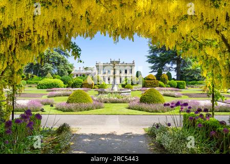 Laburnum Arch in Brodsworth Hall und Gärten in formellen Gärten des viktorianischen Landhauses Brodsworth Hall Doncaster South Yorkshire England UK Stockfoto