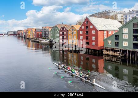 Farbenfrohe Lagerhäuser aus dem 17. Jahrhundert auf der anderen Seite des Nidelva Flusses von der Old Town Bridge (Gamle bybro), dem Stadtzentrum, Trondheim, Trøndelag County, Norwegen Stockfoto