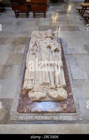 Abwasserkandidat von Juan García de Castro y Teresa de Múgica Geburtskapelle in der Kirche San Gil, Burgos Stockfoto