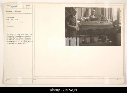 Mitarbeiter der Experimentstation des United States Bureau of Mines in Berkeley, Kalifornien, engagieren sich für Kriegsaktivitäten. Das Foto wurde am 14. November 1918 aufgenommen. Der Stationsleiter, D. A. Lyon, beaufsichtigte die Operationen am Bahnhof. Stockfoto