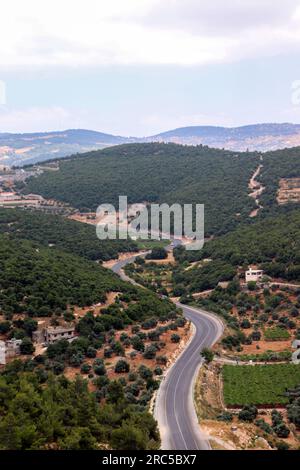 Straße inmitten von Wäldern, Bergen und grünen Bäumen (Ajloun, Jordanien) ein Luftblick, der von der Ajloun Seilbahn fotografiert wurde Stockfoto