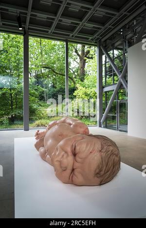 A Girl (2006), Skulptur eines gigantischen Neugeborenen von Ron Mueck, Fondation Cartier, einem Museum für zeitgenössische Kunst, das sich in einem Glasgebäude befindet, das von P entworfen wurde Stockfoto