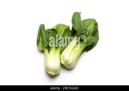 Isoliertes frisches organisches Pak Choi, Bok Choy, Chinakohl, rohes natürliches gesundes Gemüse auf weißem Hintergrund, flach liegend, Draufsicht. Asiatisch Stockfoto