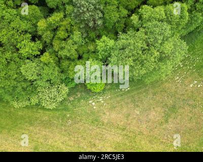 Der Bezirk Mecklenburgische Seenplatte ist ein Bezirk im Bundesland Mecklenburg-Vorpommern. Stockfoto