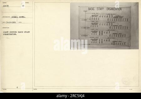 Das Bild zeigt ein Diagramm, das die grundlegende Personalorganisation der US-Armee während des Ersten Weltkriegs zeigt. Es veranschaulicht die Hierarchie vom Korps bis zur Abteilungsebene, einschließlich Positionen wie Stabschef und technisches Personal. Das Foto wurde vom Signalkorps aufgenommen. Stockfoto