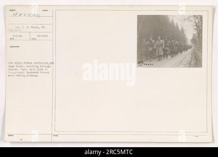 US Army 5. Feldbataillon, Teil des 4. Armeekorps, marschiert durch den Hochwaldwald bei Osburg. Leutnant G. F. Stone leitet die Gruppe, während Captain W.E. Kräuter ist im Vordergrund zu sehen. Das Foto wurde am 4. Dezember 1918 mit der zugewiesenen Kennung 111-SC-42220 aufgenommen. Stockfoto
