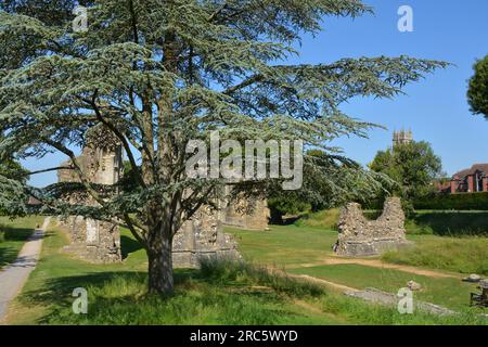 Glastonbury Abbey, Glastonbury, Somerset, England. 13. Juni 2023. Stockfoto