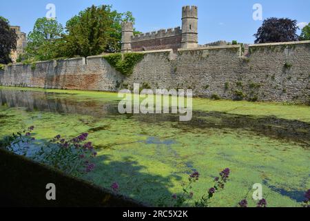 Blick auf Bishop's Palace, Wells, Somerset, England. 15. Juni 2023. Stockfoto