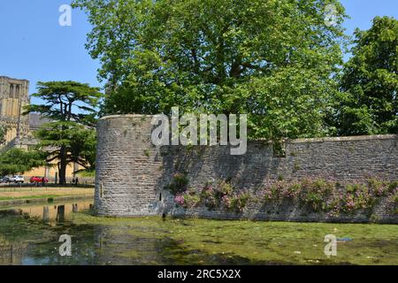 Blick auf Bishop's Palace, Wells, Somerset, England. 15. Juni 2023. Stockfoto