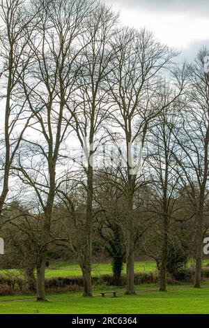 Wunderschöne Fotos von der Landschaft, die in North Yorkshire aufgenommen wurde Stockfoto