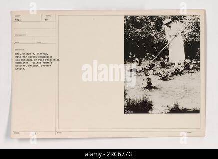 Die Abbildung zeigt Mrs. George W. Stevens, City war Garden Commission und Vorsitzender des Food Production Committee. Sie war Vorsitzende des Toledo-Frauenkapitels der Nationalen Verteidigungsliga im Ersten Weltkrieg. Dieses Foto wurde von Reed aufgenommen und mit dem Symbol 6821 ausgestellt. H ATT-HINWEISE 68R1. Stockfoto