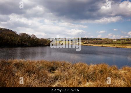 Holden Wood Reservoir, Rossendale Stockfoto