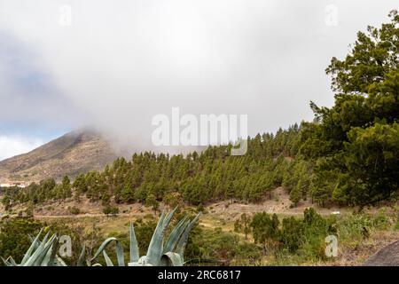 Atemberaubende Aufnahmen auf der Kanarischen Insel Stockfoto