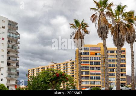 Fantastische Aufnahmen auf Teneriffa mit einer Kamera Stockfoto