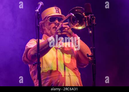 Fat Freddy's Drop, Rochester Castle 2023 Stockfoto