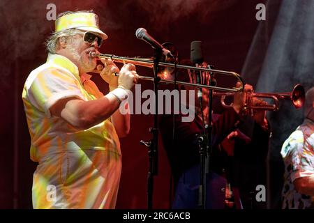 Fat Freddy's Drop, Rochester Castle 2023 Stockfoto