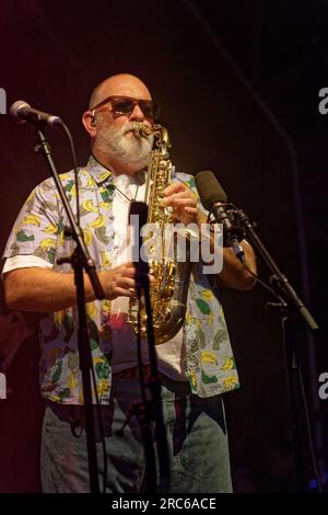 Fat Freddy's Drop, Rochester Castle 2023 Stockfoto