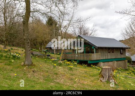 Atemberaubende Aufnahmen von Natur und Landschaft in North Yorkshire Stockfoto