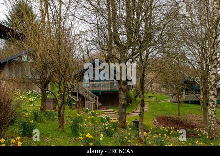 Atemberaubende Aufnahmen von Natur und Landschaft in North Yorkshire Stockfoto