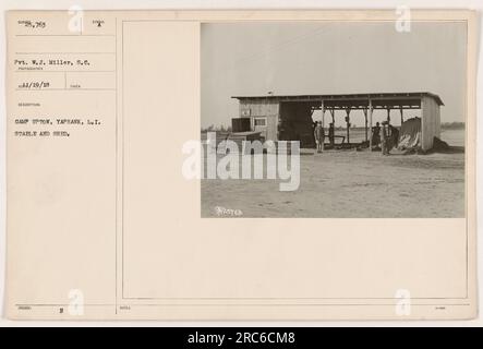 Pvt. W.J. Miller vom Signalkorps machte dieses Foto am 19. Januar 1918 in Camp Upton, Yaphank, Long Island. Das Bild zeigt einen Stall und Schuppen im Lager. Das Foto ist mit der Identifikationsnummer WR5763 gekennzeichnet. Stockfoto
