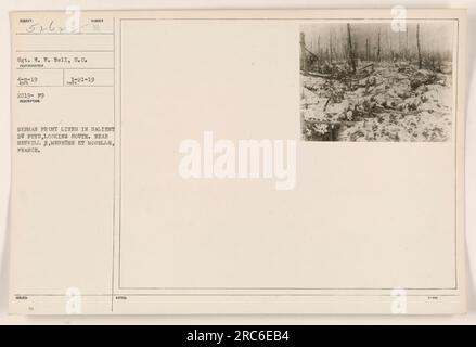 Dieses Foto wurde am 8. April 1919 aufgenommen und zeigt die deutschen Frontlinien im Salient du Feys bei Neuville in Meurthe et Moselle, Frankreich. Das Bild zeigt einen Blick nach Süden. Der Fotograf ist als Sergeant W.W. identifiziert Bell, S.C., und das Foto ist als 2019-F9 in der Sammlung amerikanischer Militäraktivitäten während des Ersten Weltkriegs gekennzeichnet. Stockfoto