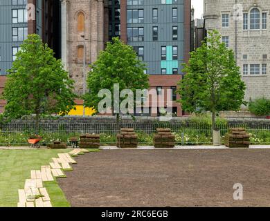 27. Juni 2023 Aberdeen, Schottland. Dies ist ein neuer Rasen, der in den Union Terrace Gardens im Stadtzentrum gelegt wird. Stockfoto